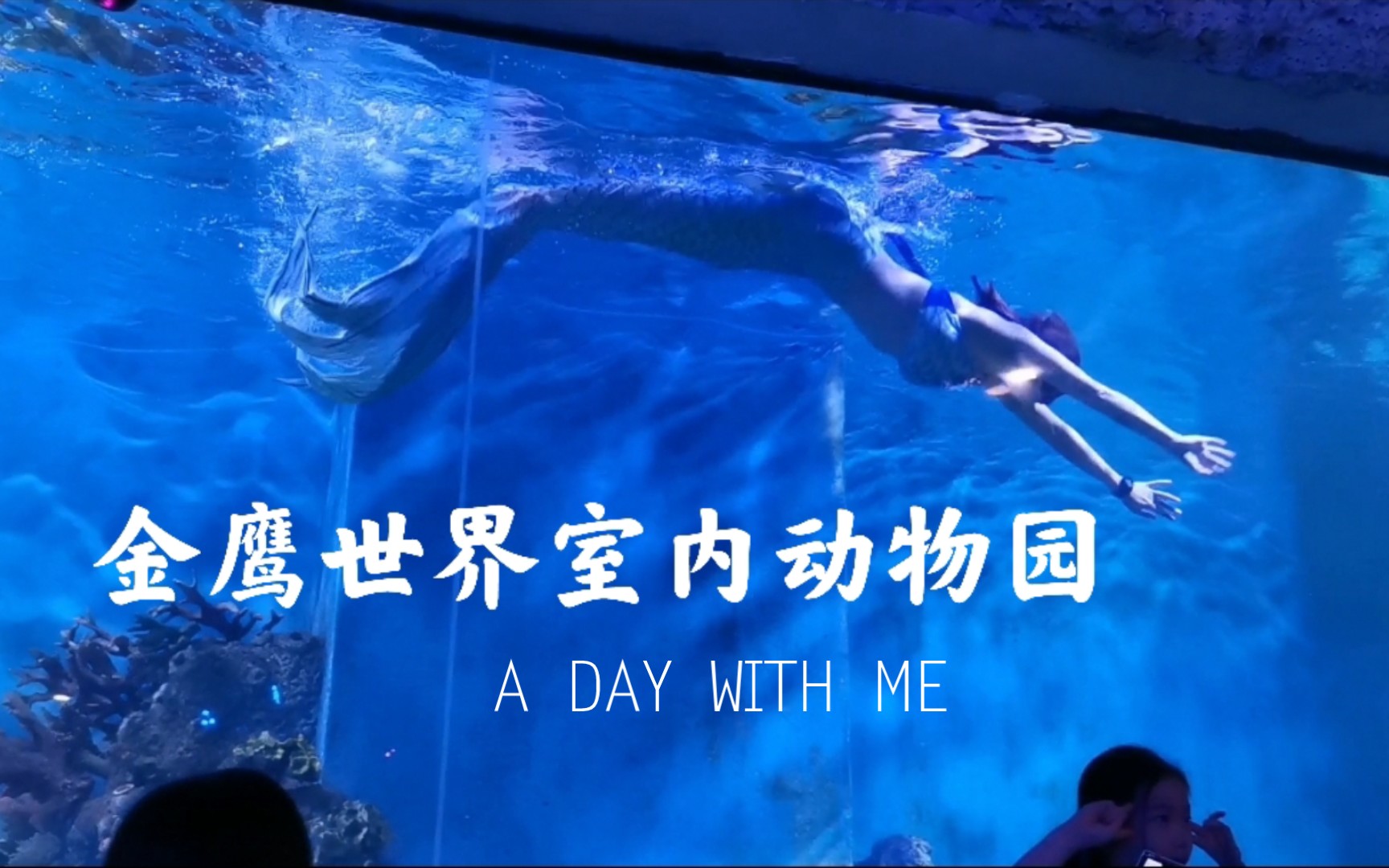 假期去哪儿?和七十多岁的外婆第一次逛游南京金鹰世界室内动物园