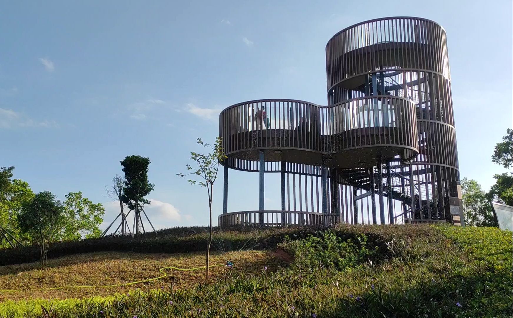 第一次逛深圳的公园 | 嶂背郊野公园