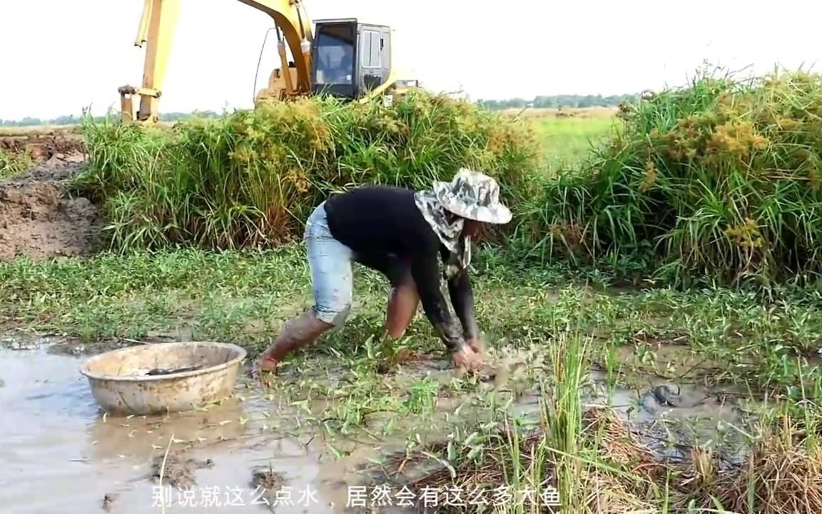 最幸运的捉鱼方式,挖机一动大鱼无处遁形,这大叔抓鱼直接抓到爽哔哩哔哩bilibili