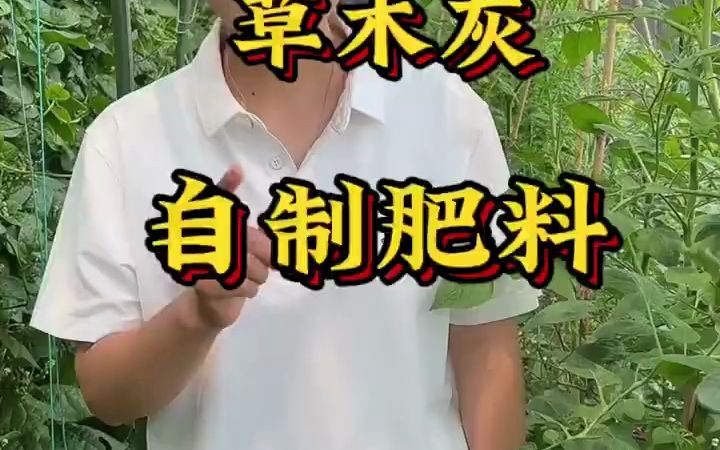 草木灰自制肥料!哔哩哔哩bilibili