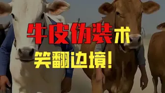 扮成可爱牛牛的两人，竟在边境搞大事《全集》