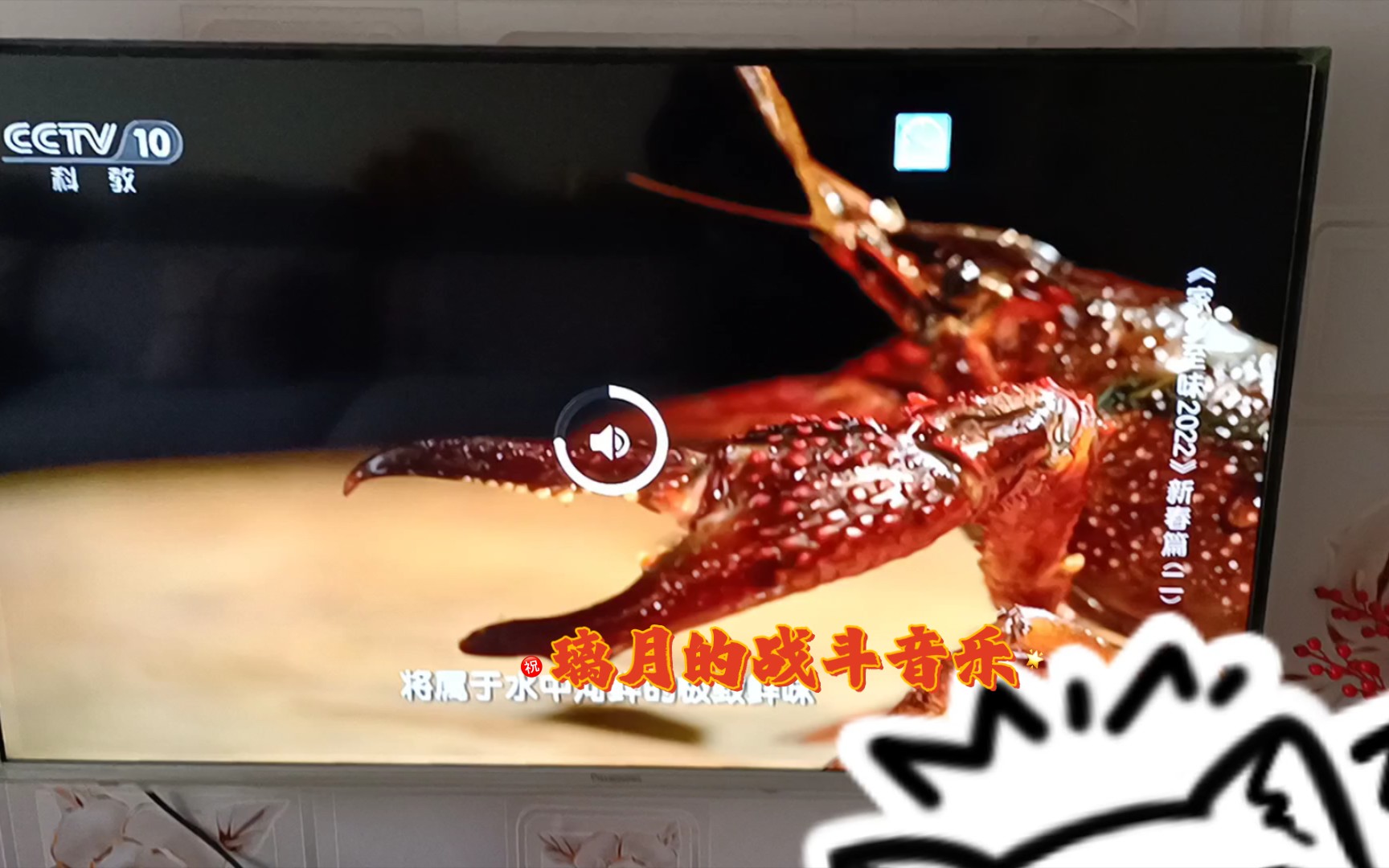 [图]CCTV10家乡至味惊现原神BGM