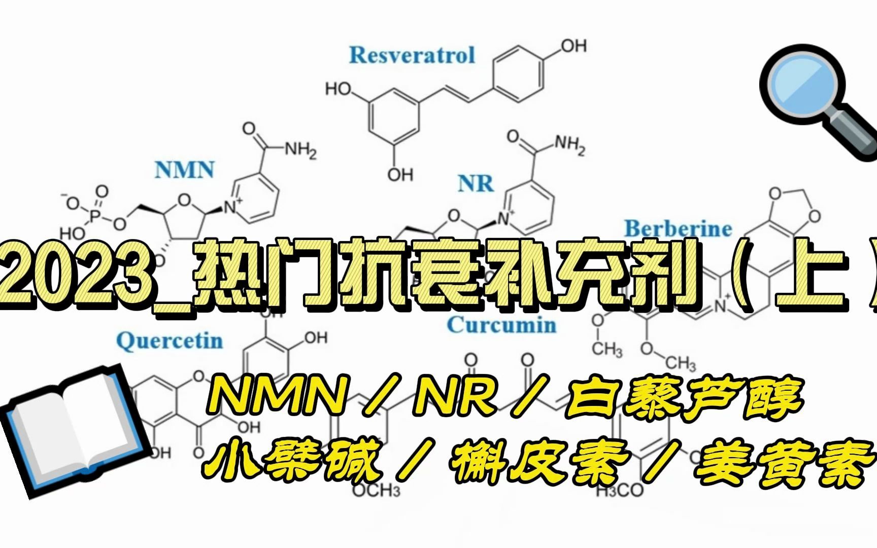 2023热门的抗衰补充剂(上):NMN、NR、白藜芦醇、小檗碱、槲皮素(黄连素)、姜黄素哔哩哔哩bilibili