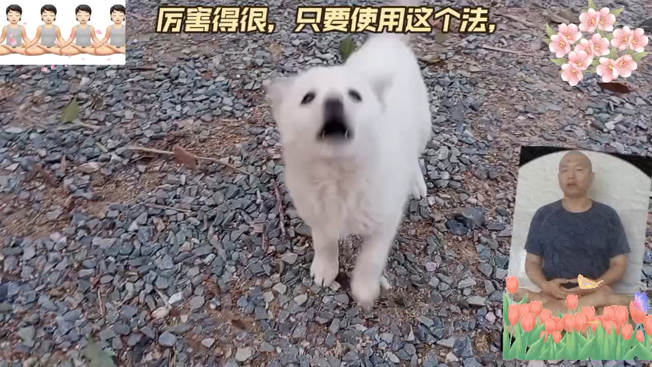 拈花故事83往生失败大居士入鬼道