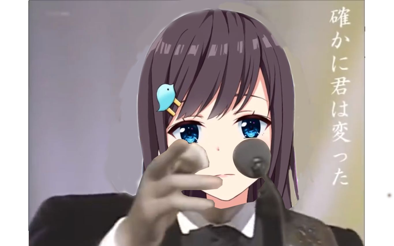 【生肉切片】你比玫瑰更美丽 - 张京华