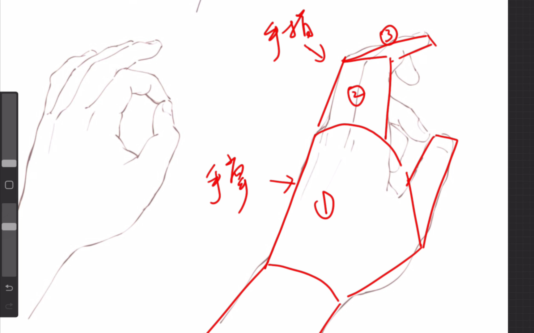 【干货】新手如何画好手