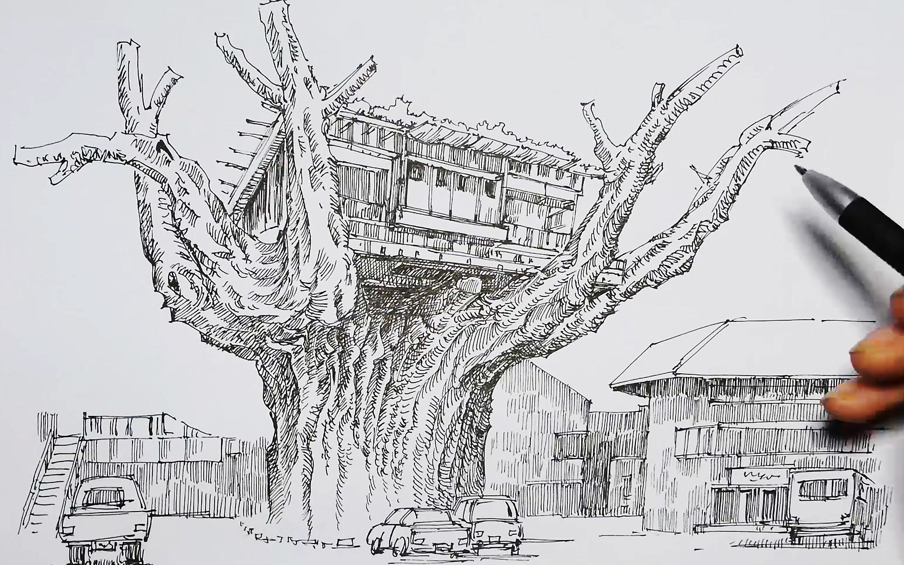 我也想有个树屋-钢笔速写全过程-干货