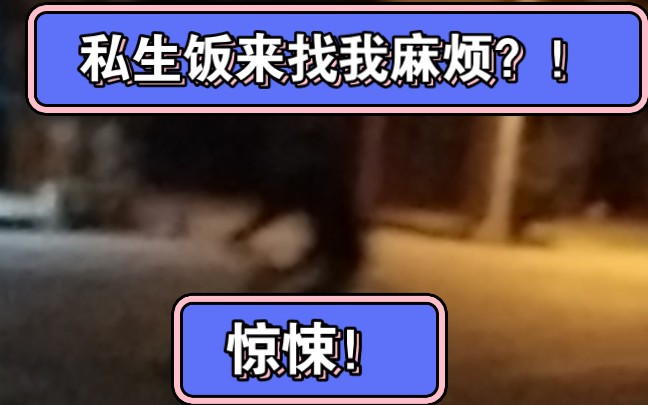 私生饭来追击我了,我能否逃离他们的追捕呢?!