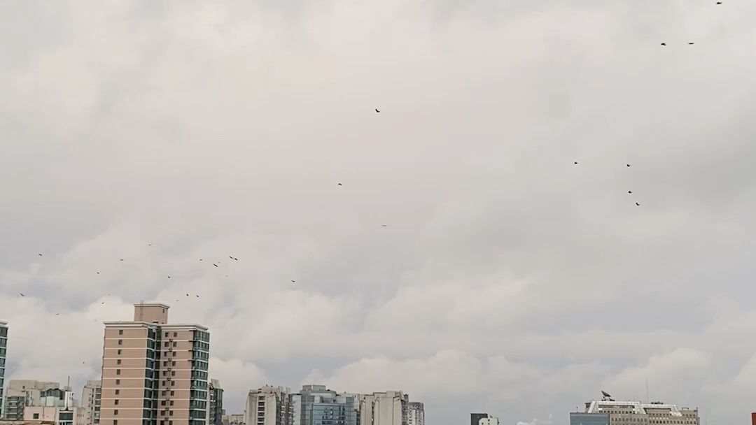 [图]实验室看山雨欲来风满楼