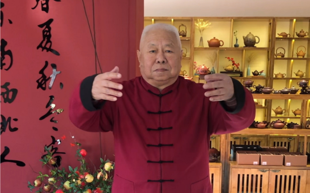 武式太极拳第五代嫡亲传人翟维传大师!_哔哩哔哩_bilibili