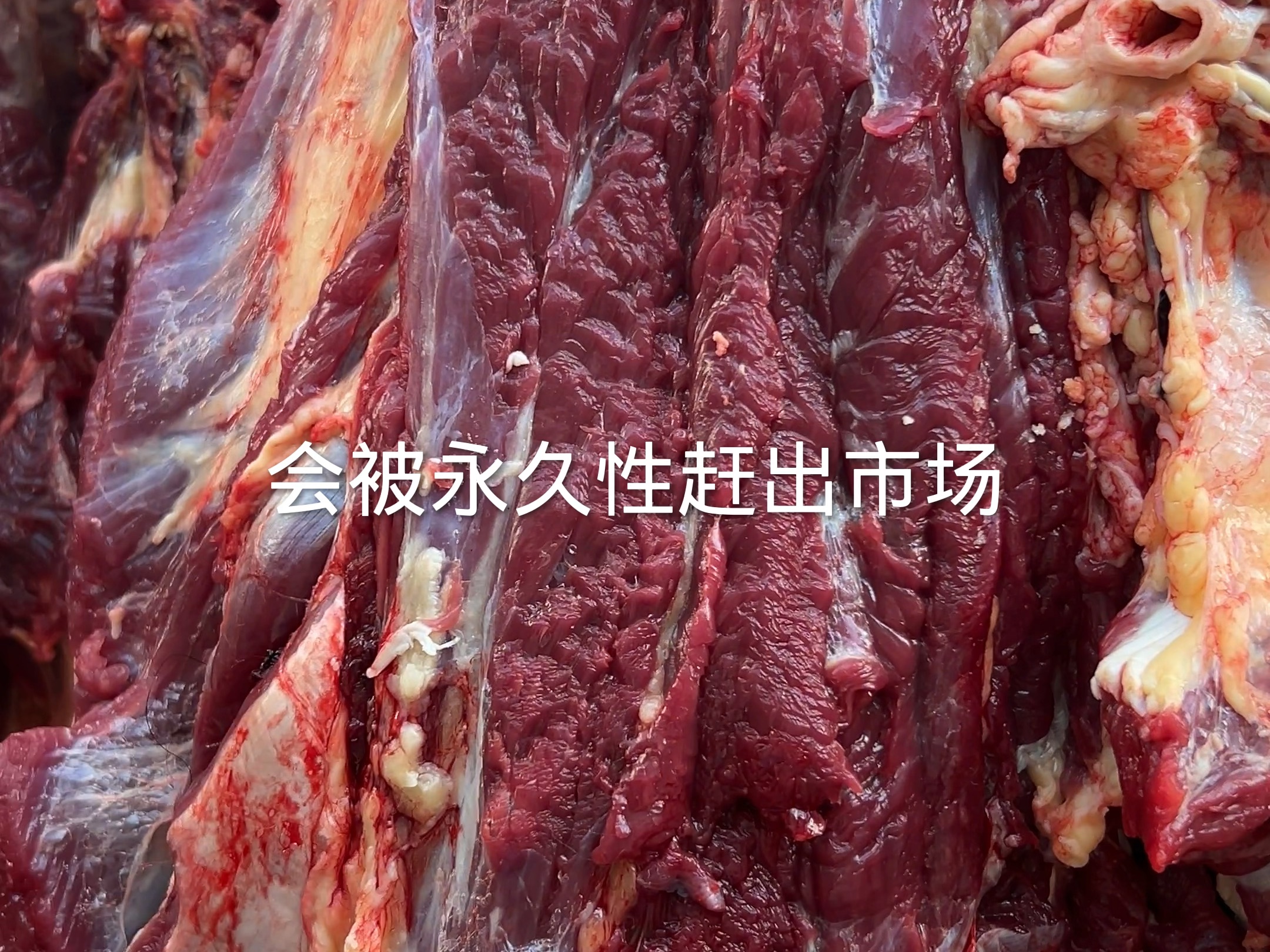 纯干的鲜牦牛肉,产地直发哔哩哔哩bilibili