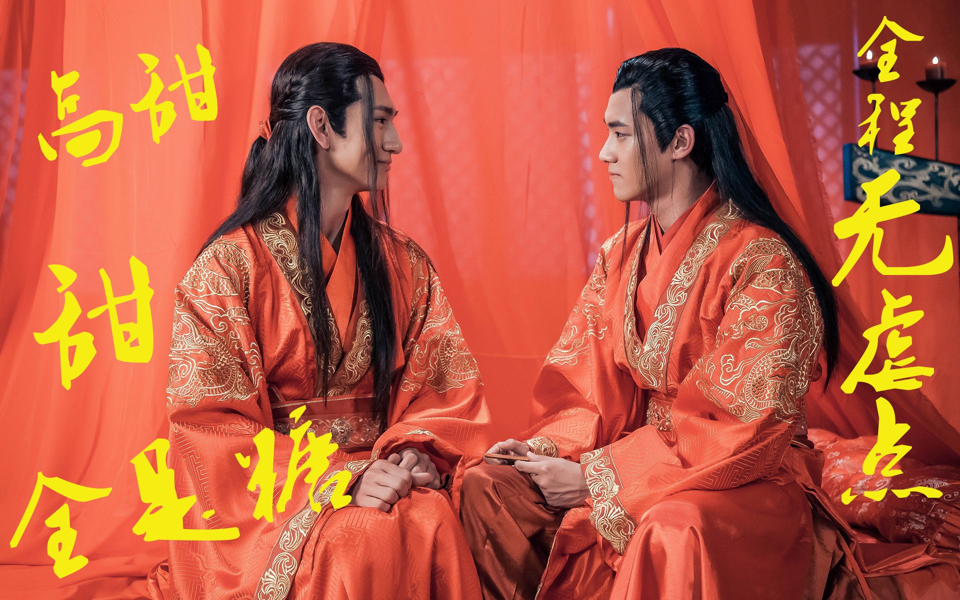 【识汝不识丁】【顾射x陶墨】剧情向剪辑 全程高甜无虐点 【相逢犹恐