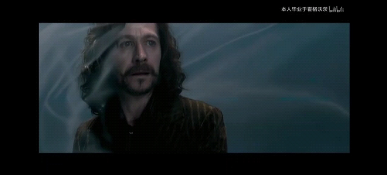 【小天狼星|布莱克】"我的爱跌跌撞撞到绝望"