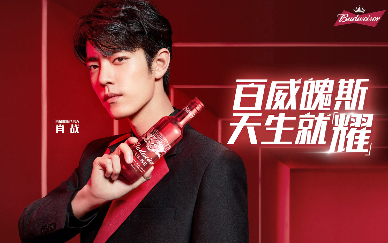 【肖戰】百威啤酒(百威魄斯代言人)物料合集