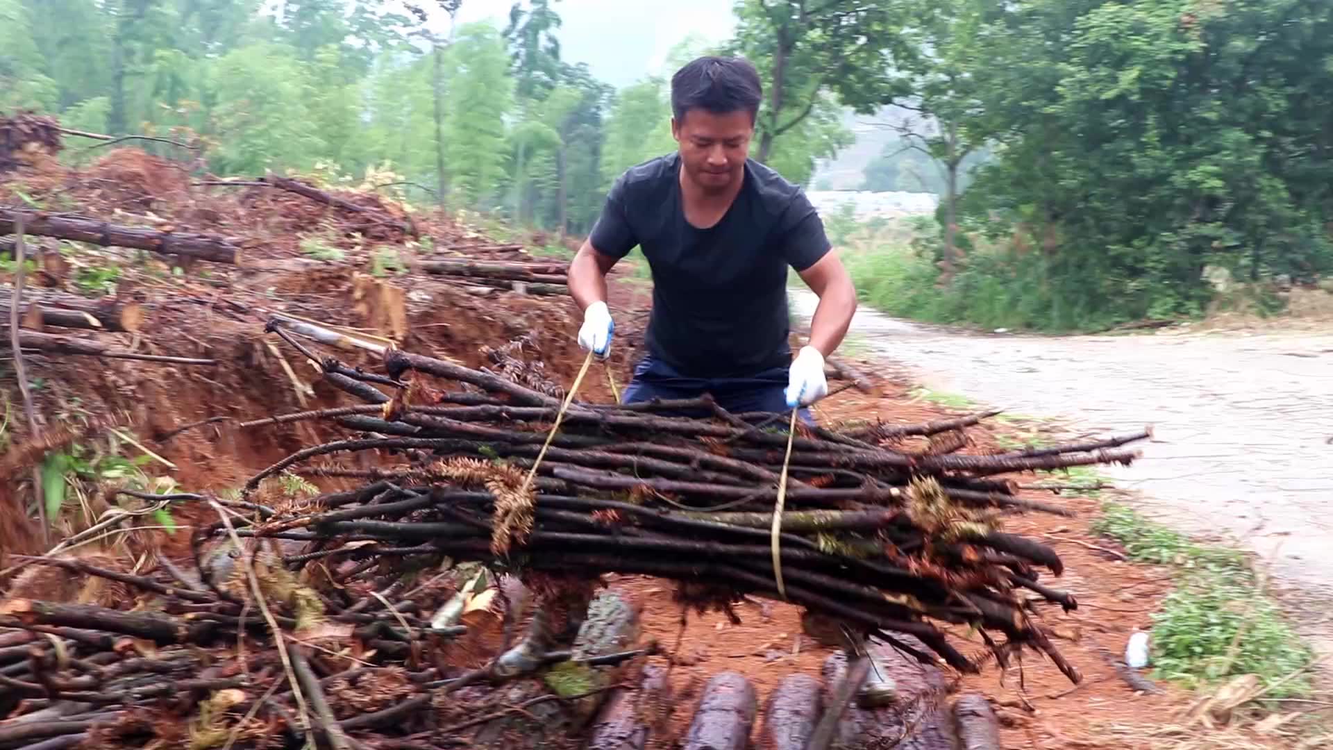 媽媽上山砍柴遇一場大雨兒子趕來拉一車柴回家媽媽笑了