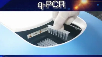 实验操作：3分钟学会q-PCR！才这么点八联管你就眼花缭乱了么？