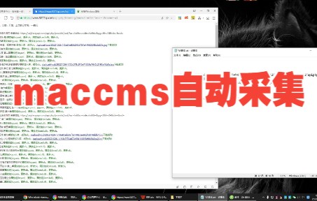 苹果cms实现自动全天采集哔哩哔哩bilibili