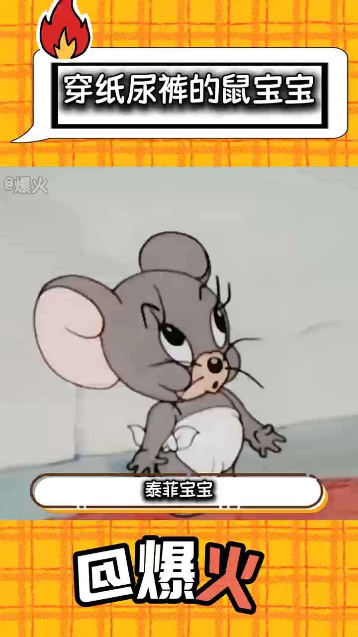 没有人能拒绝可爱的泰菲宝宝