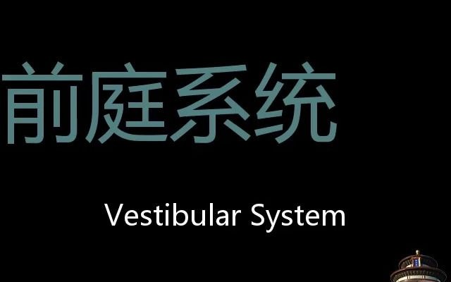 前庭系统 Chinese Pronunciation Vestibular system哔哩哔哩bilibili