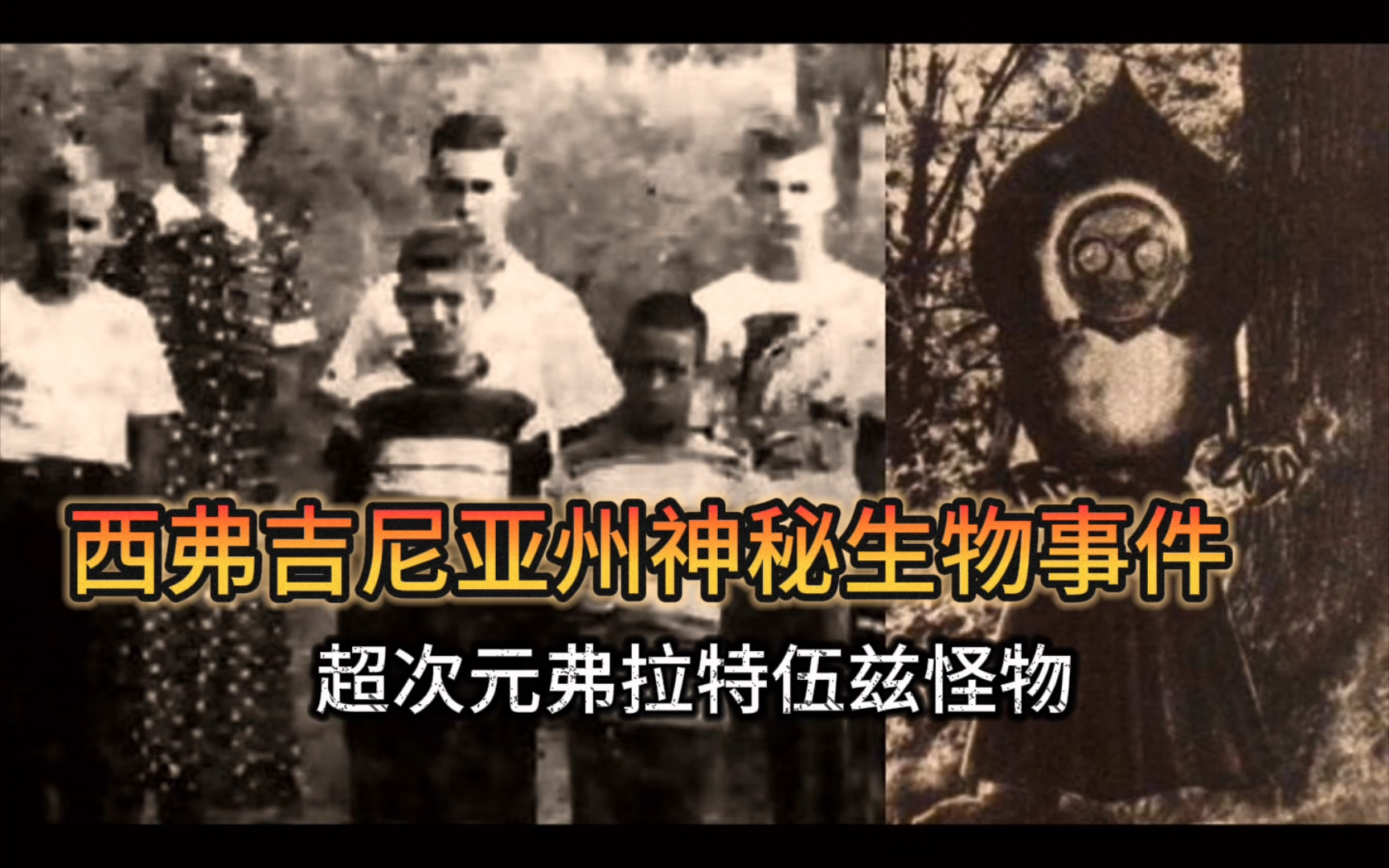 [图]1952年 美国西弗吉尼亚州不明生物事件 来自超次元的神秘访客 【弗拉特伍兹怪物】