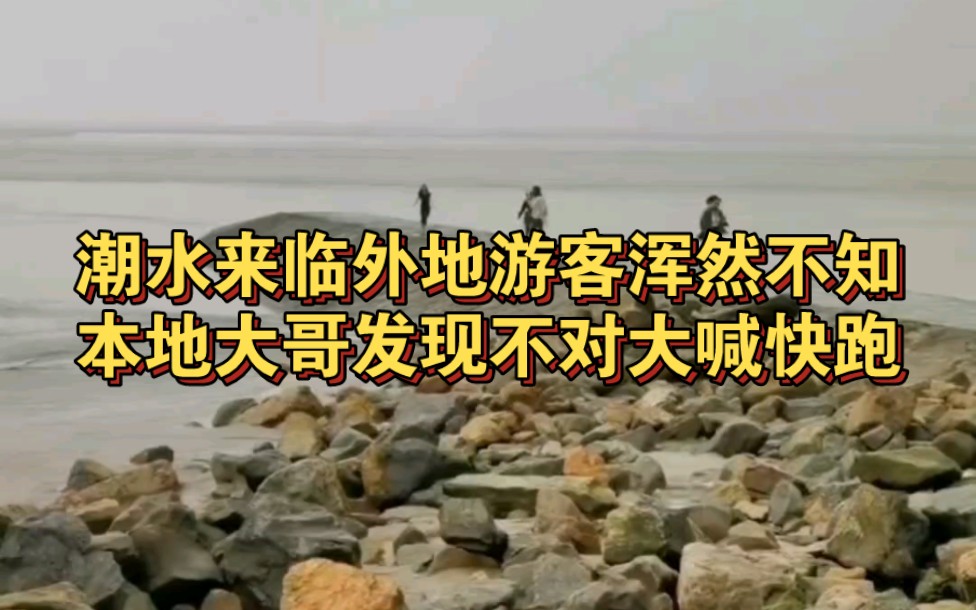 潮水来临外地游客浑然不知,本地大哥发现不对大喊快跑!下一秒潮水翻涌而至,没人提醒不堪设想!哔哩哔哩bilibili