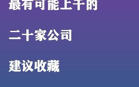 最有可能上千的 二十家公司 建议收藏哔哩哔哩bilibili