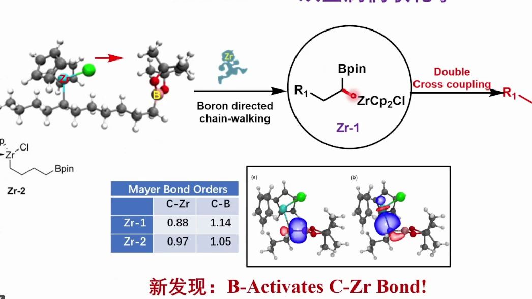 20240603北京生命科学研究所清华大学齐湘兵药物分子结构导向的合成化学哔哩哔哩bilibili