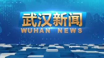 【广播电视/改版进行时】武汉广电《武汉新闻》OP+提要+ED（2025.8.29）