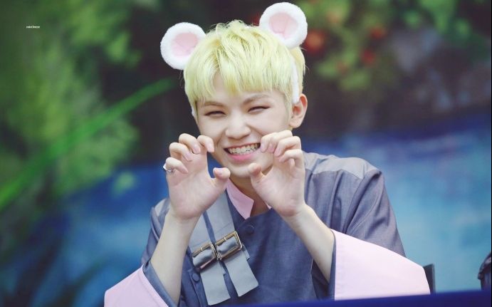 【seventeen/woozi】看李老师如何一本正经的胡说八道(feat.