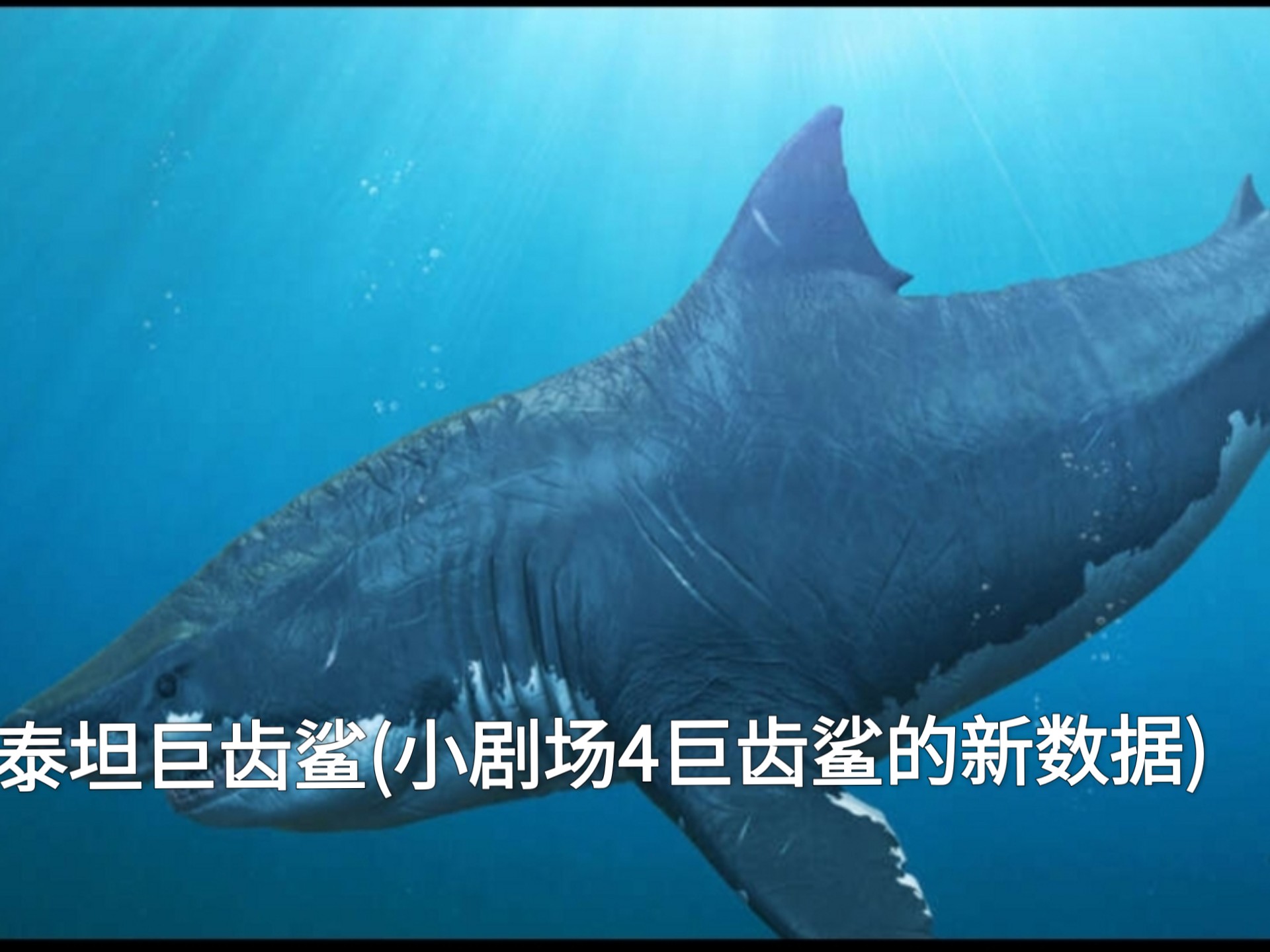 《巨齿鲨4》在线播放