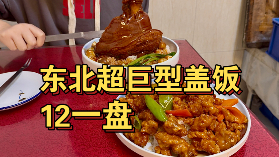 东北超巨型盖浇饭，肉段盖饭一份才12！海报