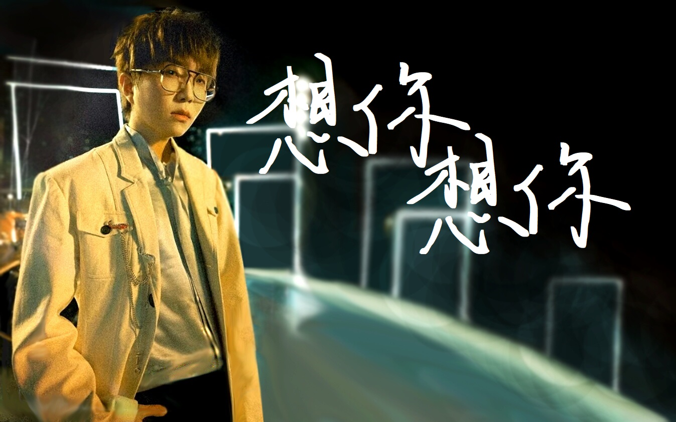 合集想你想你毛不易