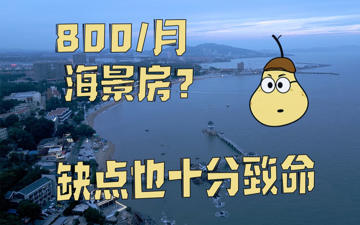 【一、葫芦岛兴城】800元/月55平海景房,够大还各种设备齐全,你愿意来这儿躺平吗?哔哩哔哩bilibili