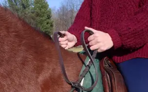 Скачать видео: 马术小助手：6种超实用方法提升你的骑乘坐姿 How to Improve Your Riding Posture 6 Easy Exercises_1080p