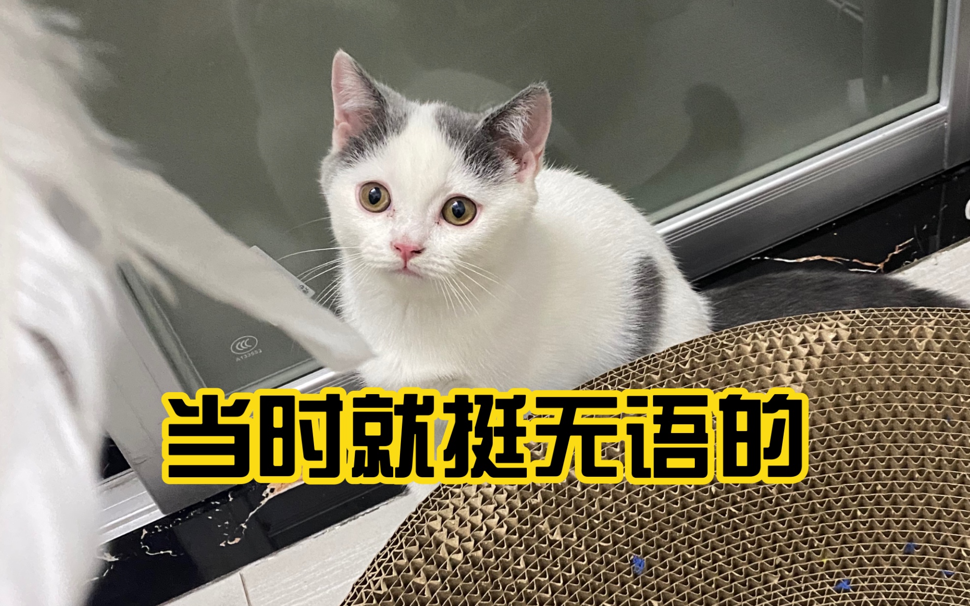 六天:就挺无语的