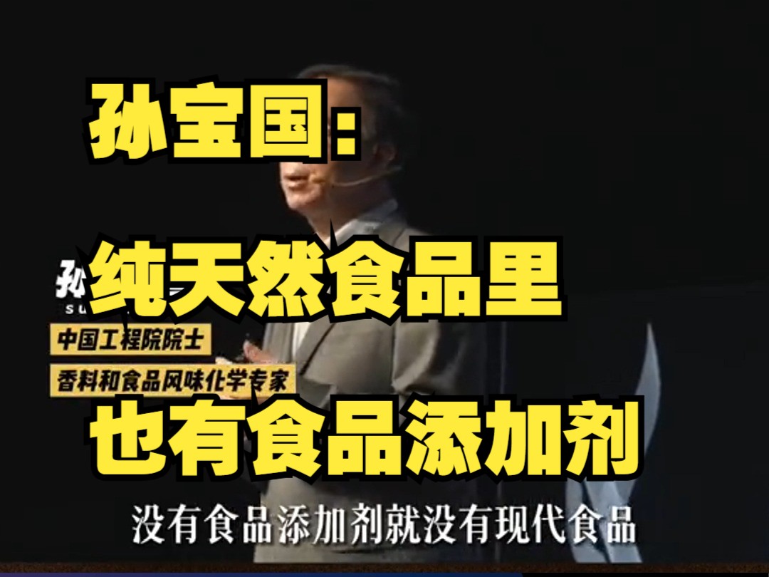 院士孙宝国:纯天然食品里也有食品添加剂.豆腐里有防腐剂?哔哩哔哩bilibili