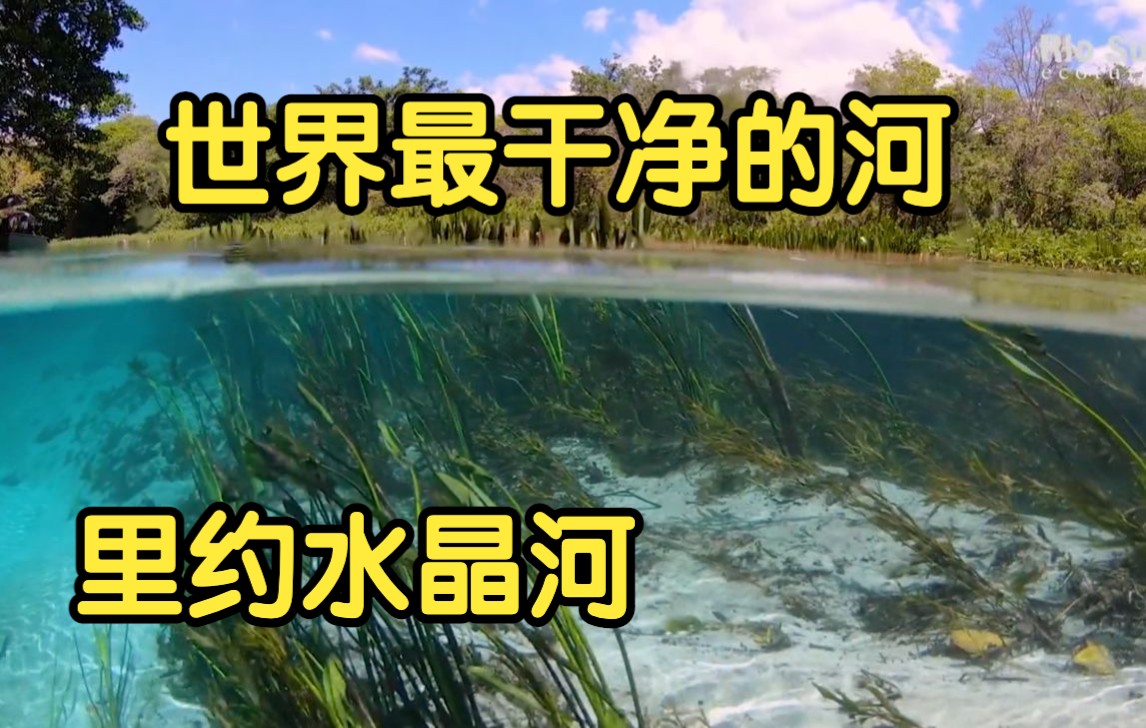 [图]世界最干净的河流，屏幕上体验一下能见度！