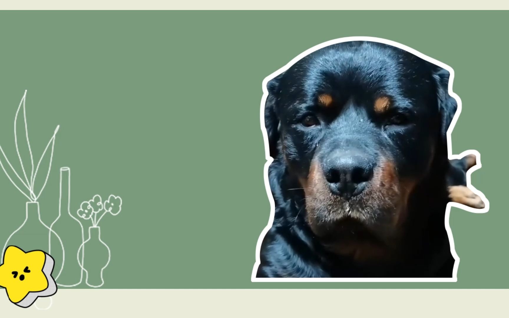 盘点黑豹让人心动瞬间~