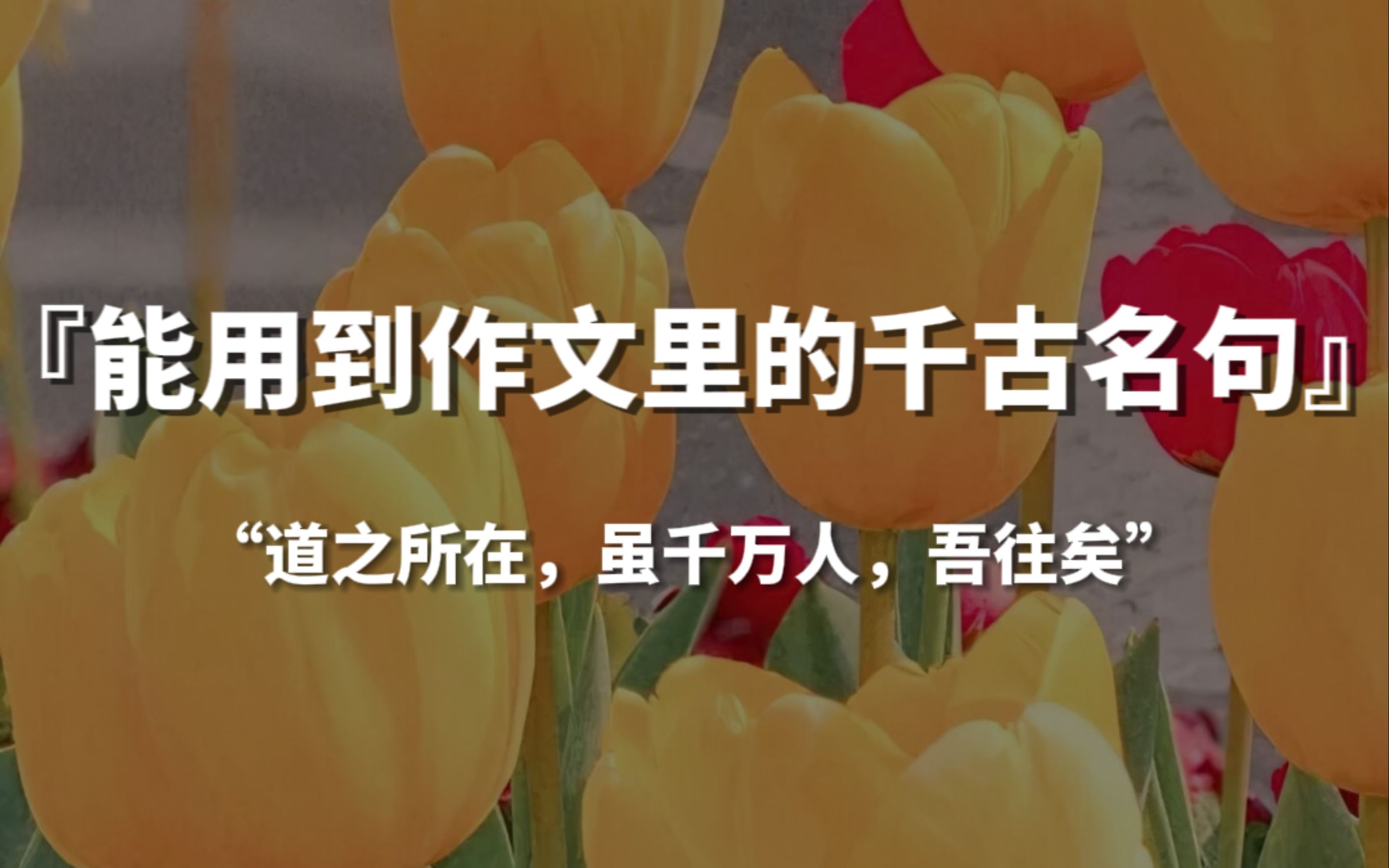 【句子控】“道之所在,虽千万人,吾往矣”,能用到作文里的千古名句哔哩哔哩bilibili