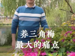 Скачать видео: 养三角梅，最大的痛点