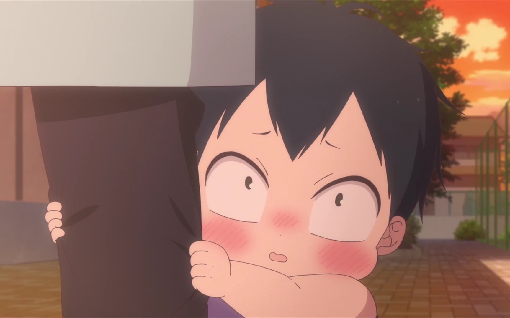 【学园奶爸】轮到小鹰来治愈你的心啦～79