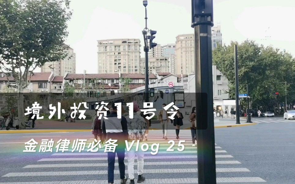 干货Vlog25|红圈非诉律师必备 境外投资11号令(上期)哔哩哔哩bilibili