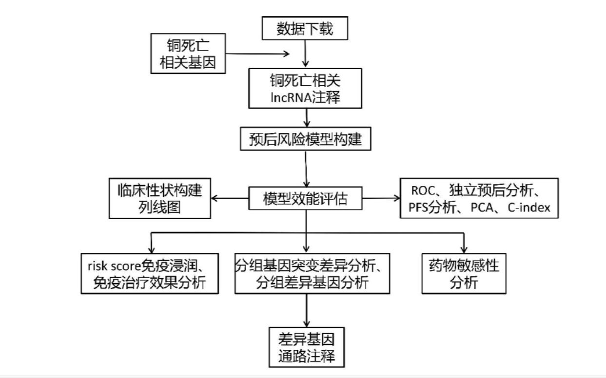 知网2022年生信方面下载最多的一篇硕士论文,基于生物信息学筛选胶质母细胞瘤铜死亡相关的LncRNA及预后风险模型的构建,可换双硫死亡哔哩哔哩...