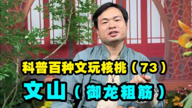 文玩核桃 龍门涧 文玩核桃龙门涧-哔哩哔哩_Bilibili