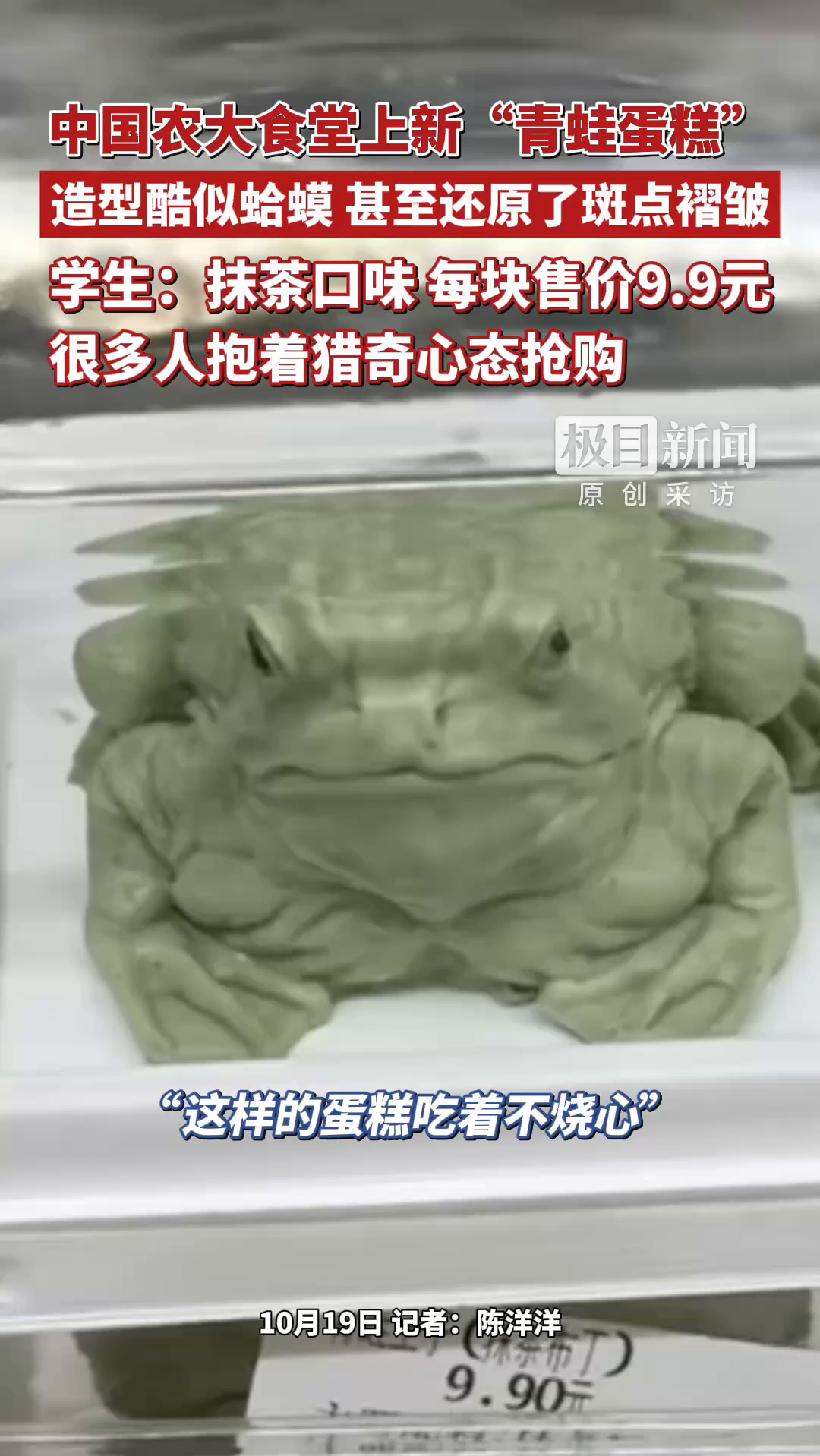 中国农大食堂上新“青蛙王子”蛋糕，造型酷似蛤蟆，甚至还原了斑点褶皱。学生：抹茶口味，每块售价9.9元