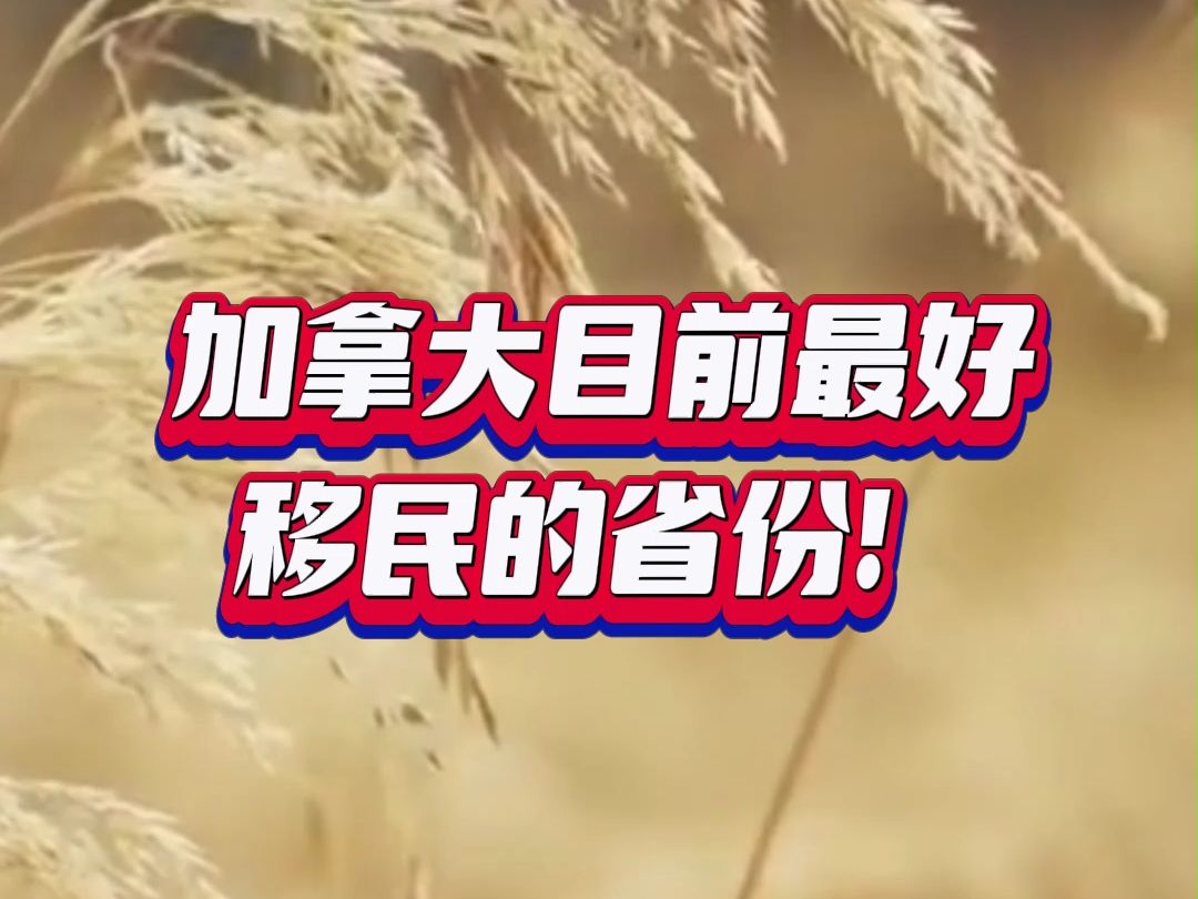 加拿大移民的种类_加拿大24种移民类型_加拿大移民分几种