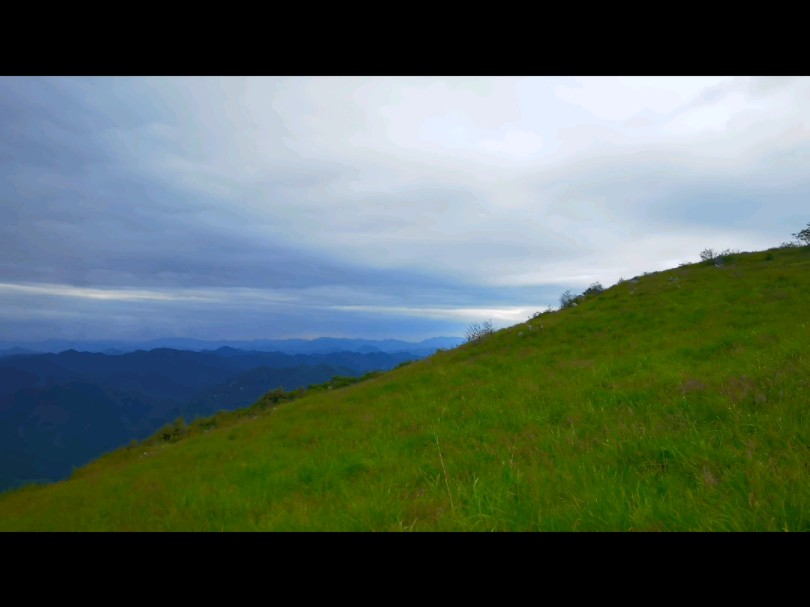 汉中,留坝,紫柏山高山草甸哔哩哔哩bilibili