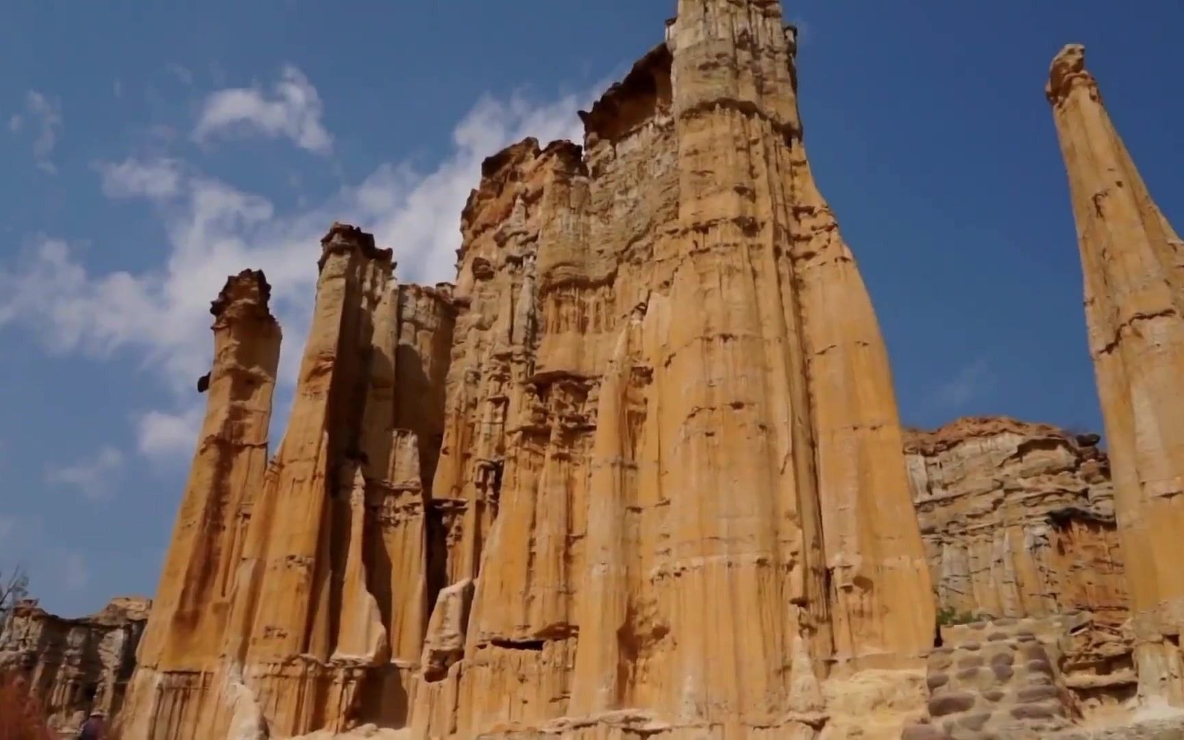 [图]《保护生物多样性• 云南》“动物王国”“植物王国”“世界花园”“物种基因库”