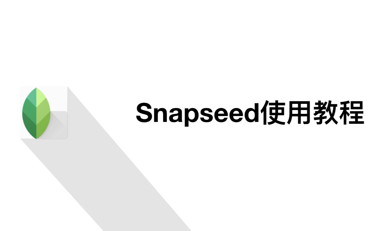 Snapseed使用教程哔哩哔哩bilibili