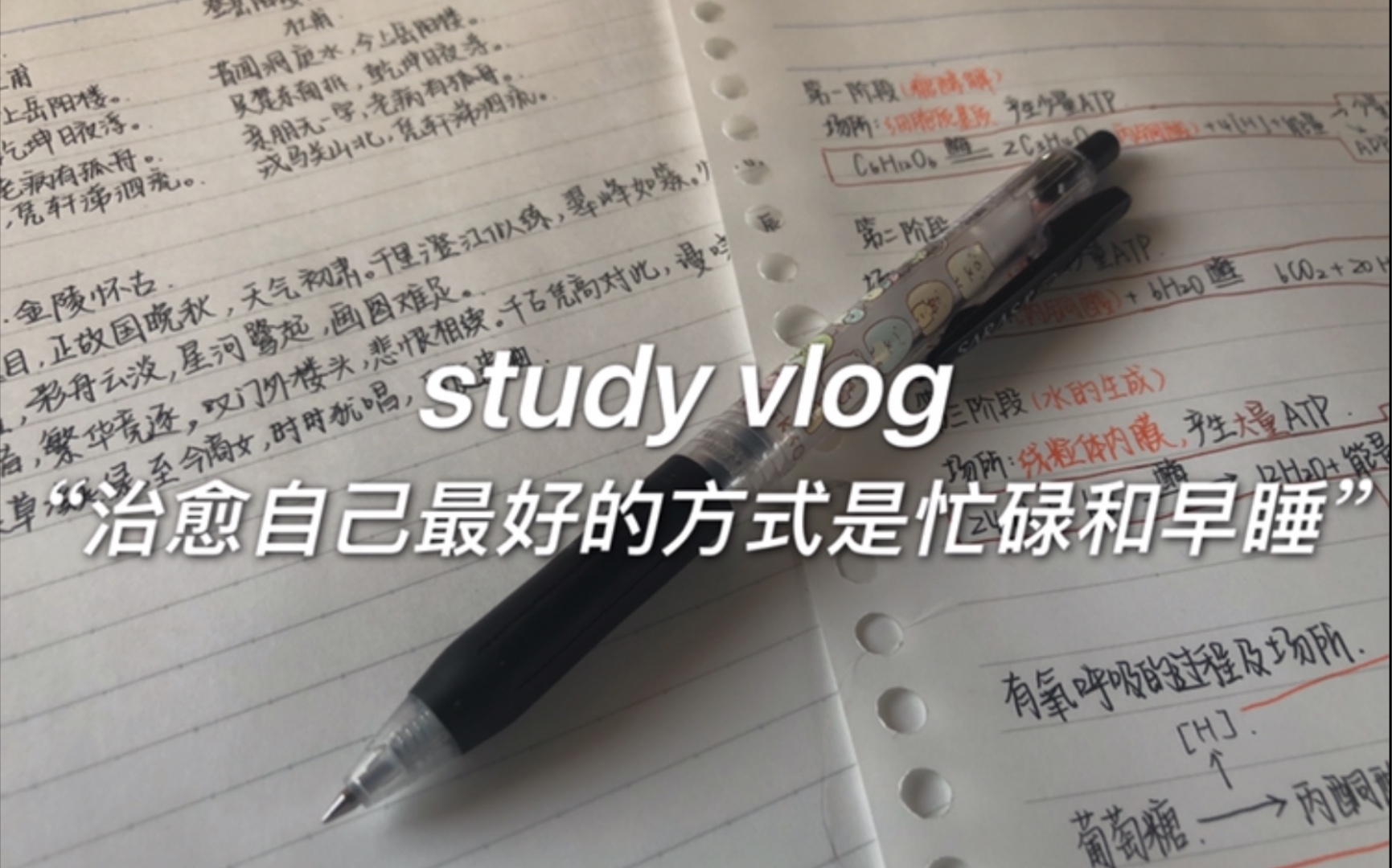 [图]study vlog//“治愈自己的最好方式就是忙碌和早睡”